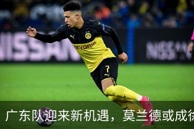 广东队迎来新机遇，莫兰德或成徐杰最佳内线搭档？