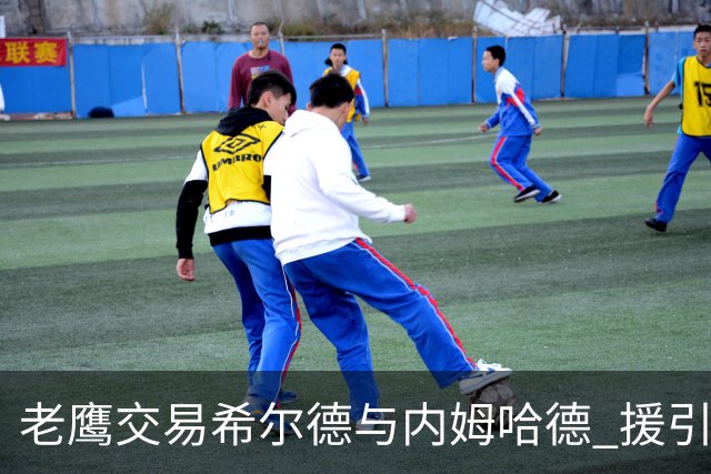 老鹰交易希尔德与内姆哈德 援引芬尼-史密斯增强阵容